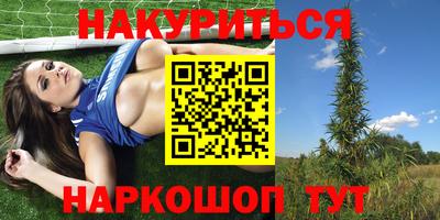 mdpv Краснознаменск