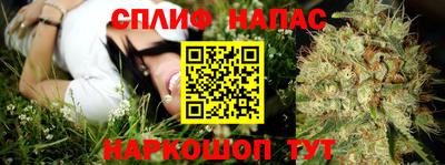 mdpv Краснознаменск