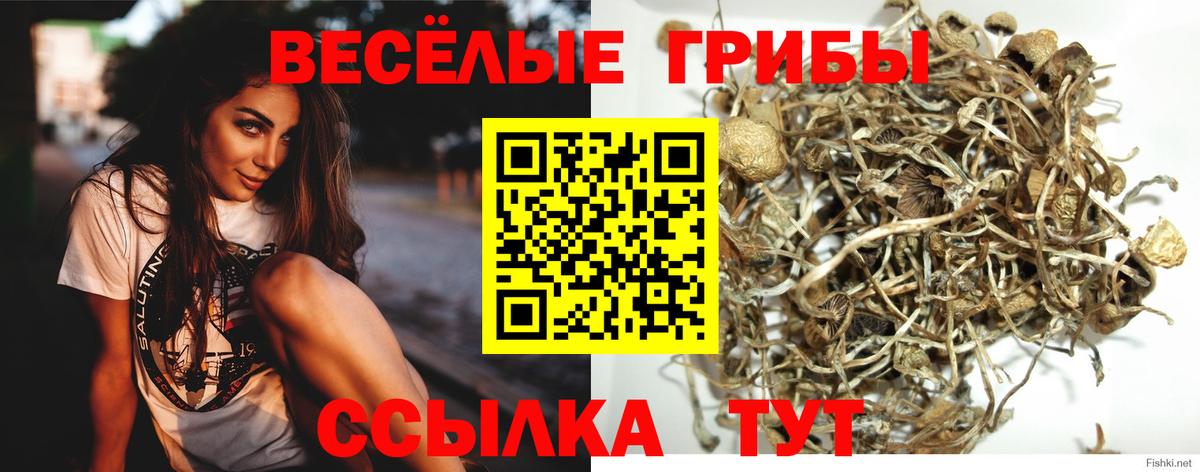 Елец  Галлюциногенные грибы ЛСД  Псилоцибиновые грибы Psilocybine cubensis  Вход с VPN 