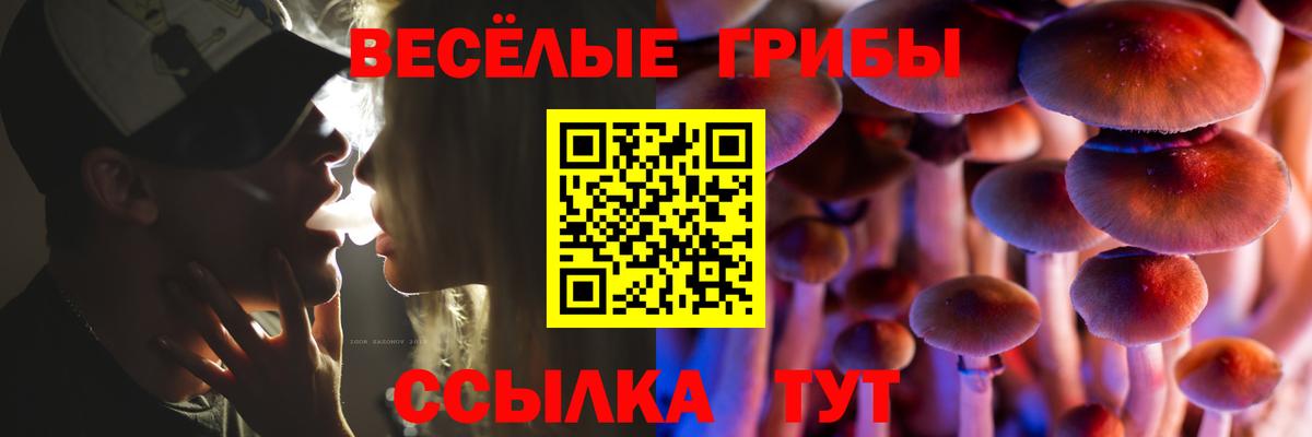 Псилоцибиновые грибы Cubensis Елец